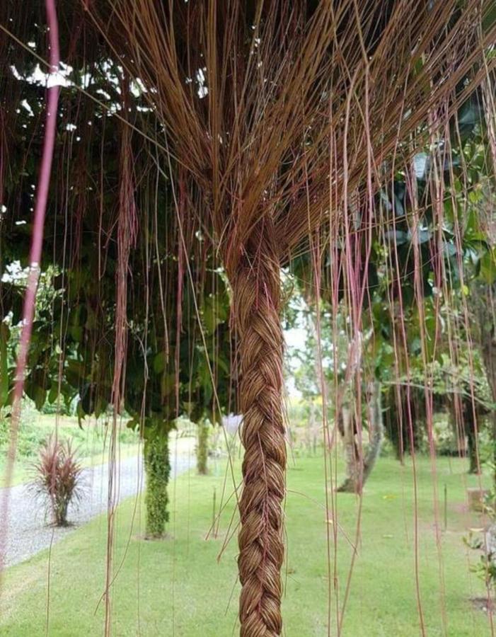 Tho Mai Resort Wang Chan Ngoại thất bức ảnh